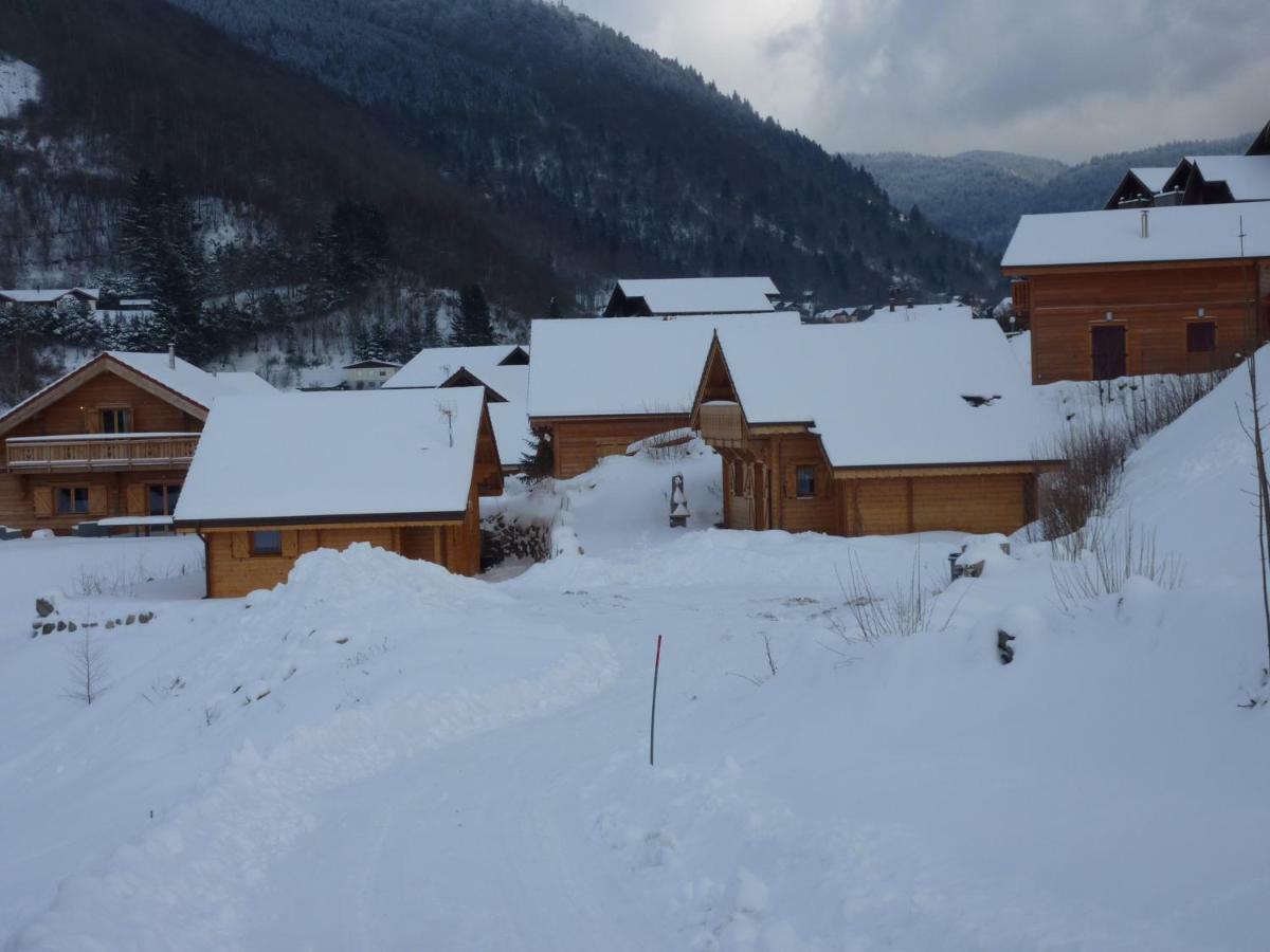 Le Planot Villa La Bresse Dış mekan fotoğraf